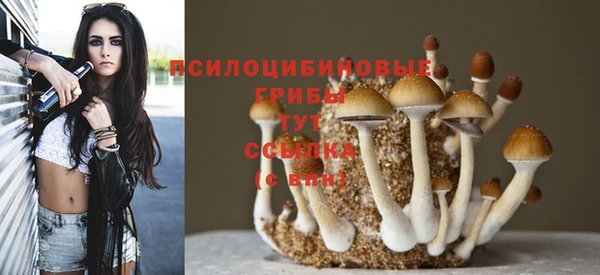 PSILOCYBIN Баксан