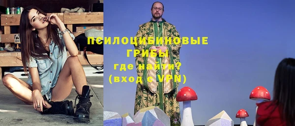 PSILOCYBIN Баксан