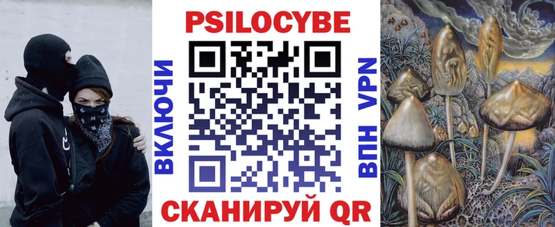 закладки Новоуральск Псилоцибиновые грибы GOLDEN TEACHER
